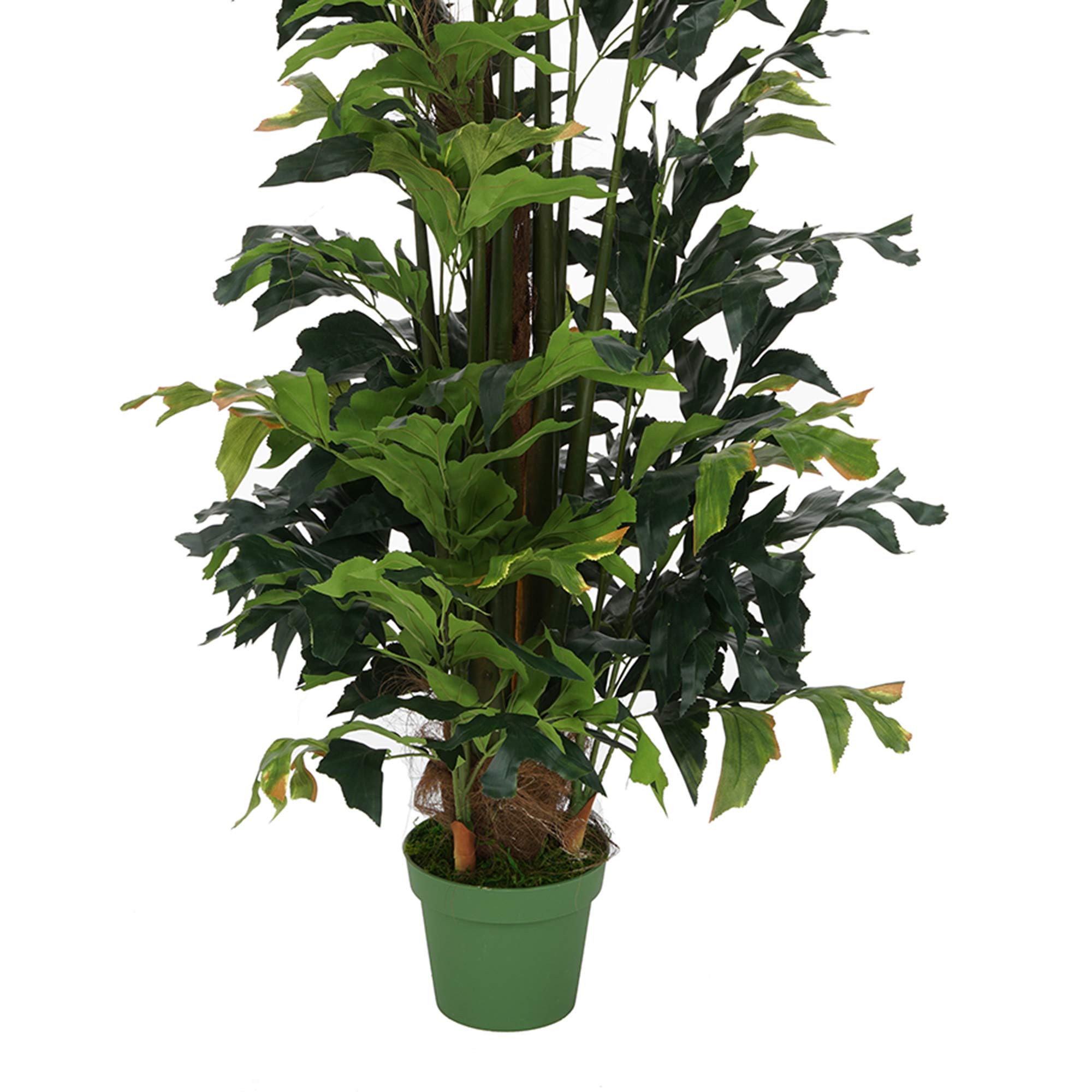 7ft Artificial Fishtail Palm Tree in Seagrass Planter - Grey Wash Indoor/Outdoor Decor for Home, Office, Patio & Garden