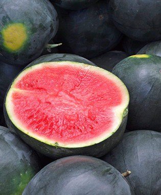 Black Diamond Watermelon Seeds - Giant 50+ lb Fruits | Premium Garden Seeds for Home Growing | Perfect for Summer BBQs & Farmer's Markets