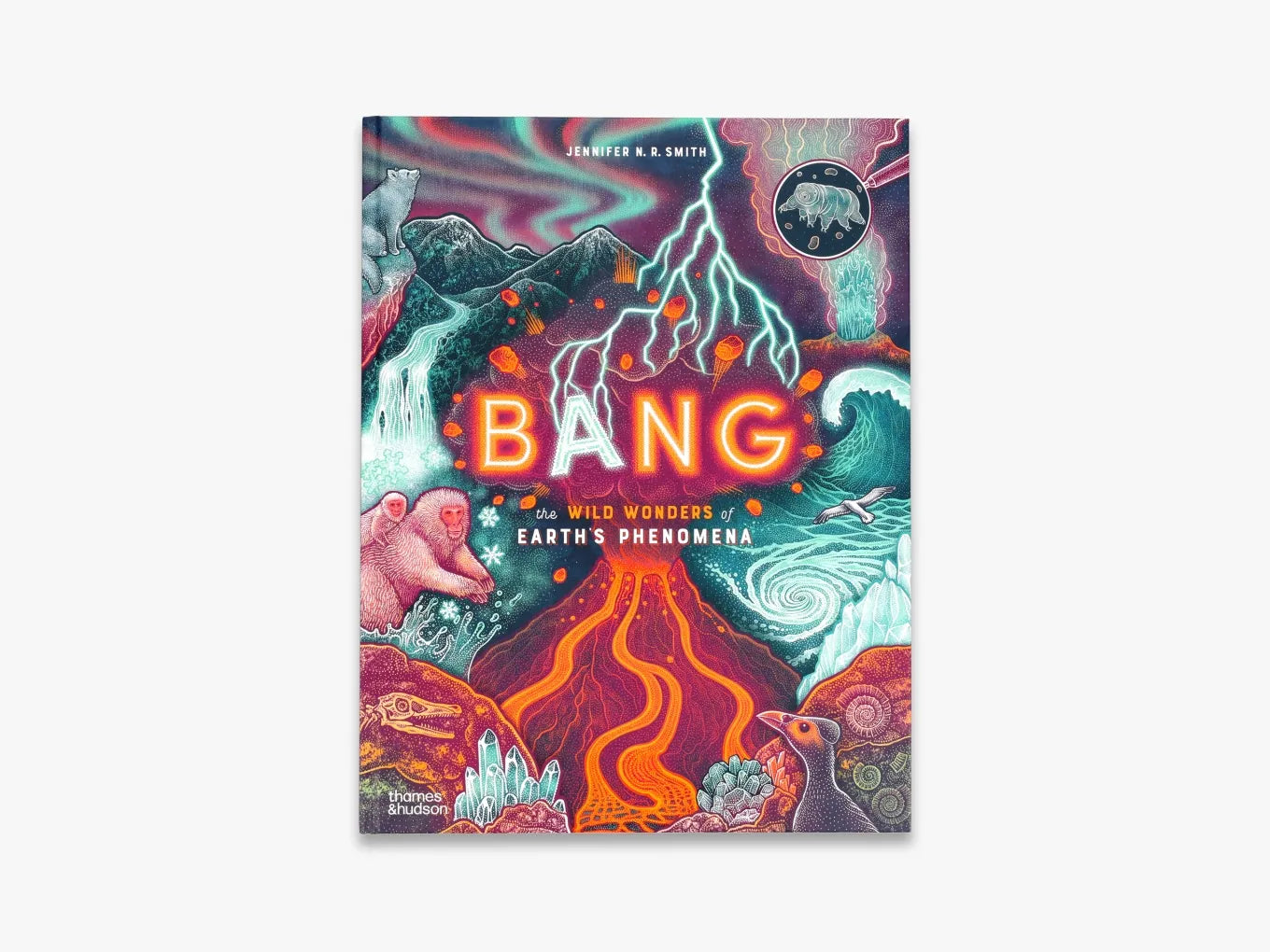Wild Wonders Bang - Premium Quality Novelty Party Supplies for Events & Celebrations - Perfect for Birthdays, Weddings & Special Occasions