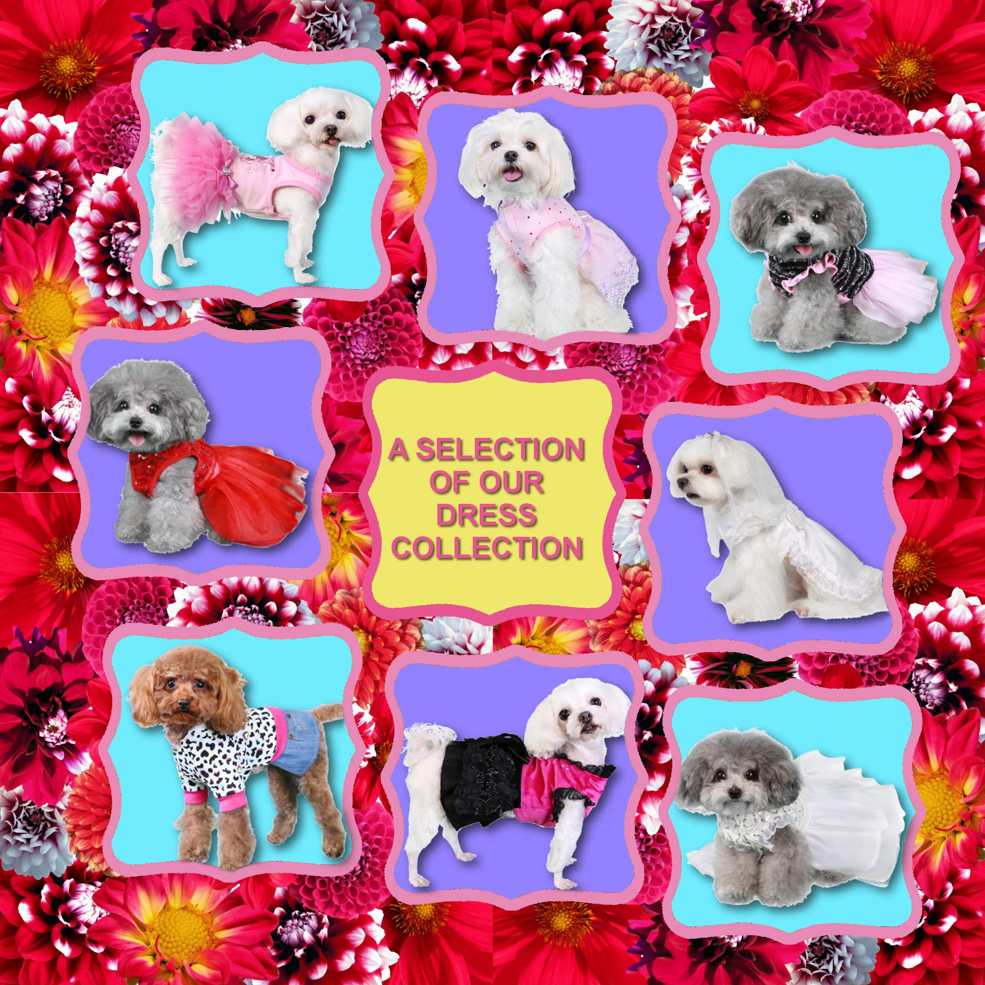 Premium Dog Dresses for Parties & Weddings | Stylish Small, Medium & Large Dog Outfits | Formal & Casual Occasions | Perfect for Pet Birthday Celebrations, Photo Shoots & Special Events