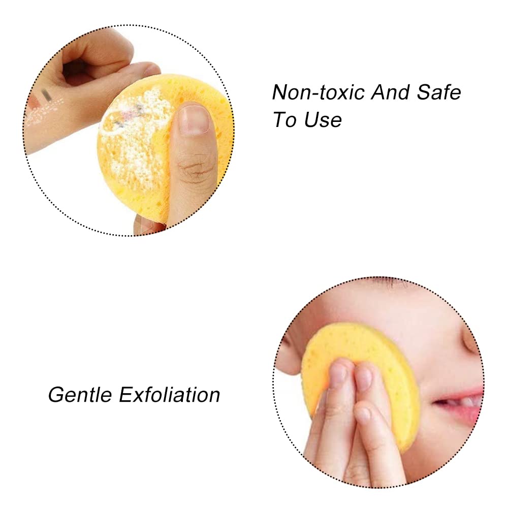 36-Piece Compressed Facial Sponges for Makeup & Skincare | Portable Cellulose Makeup Sponges for Cleansing, Exfoliating & Massage | Ideal for Travel, Daily Face Care & Professional Makeup Application