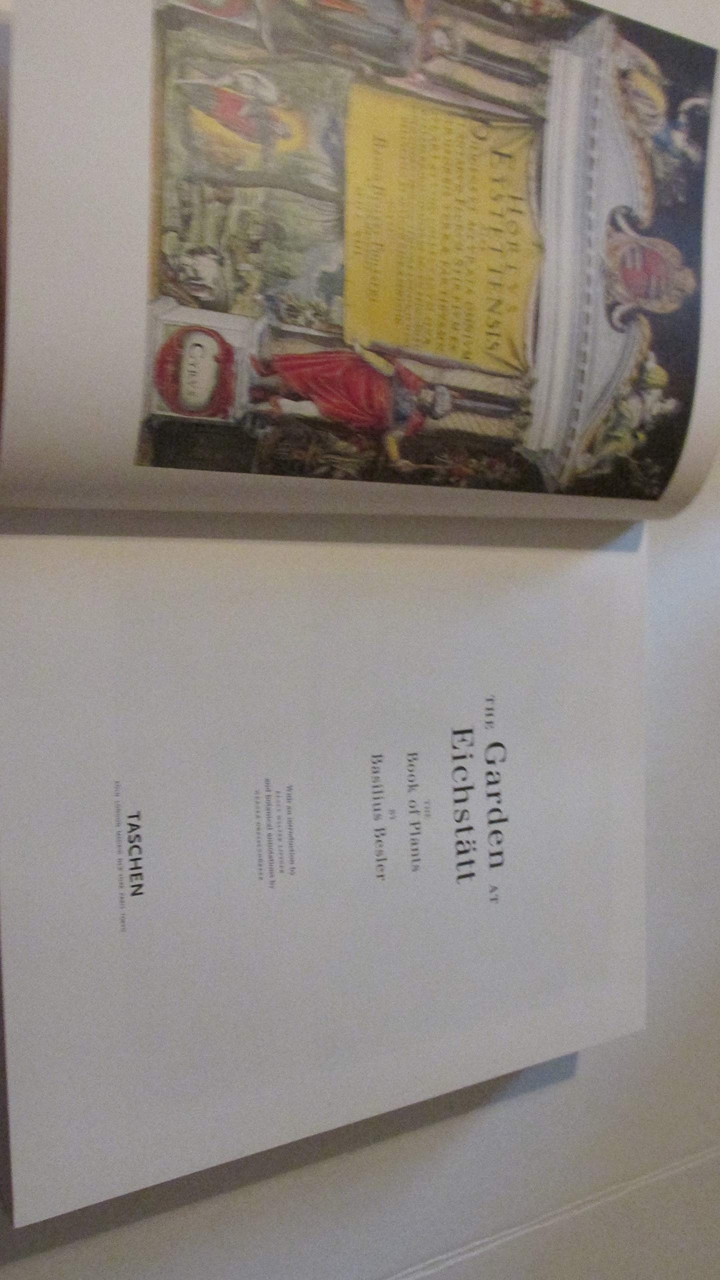 The Garden at Eichstatt: Rare Botanical Plant Book - Perfect for Gardeners, Nature Lovers & Home Decor