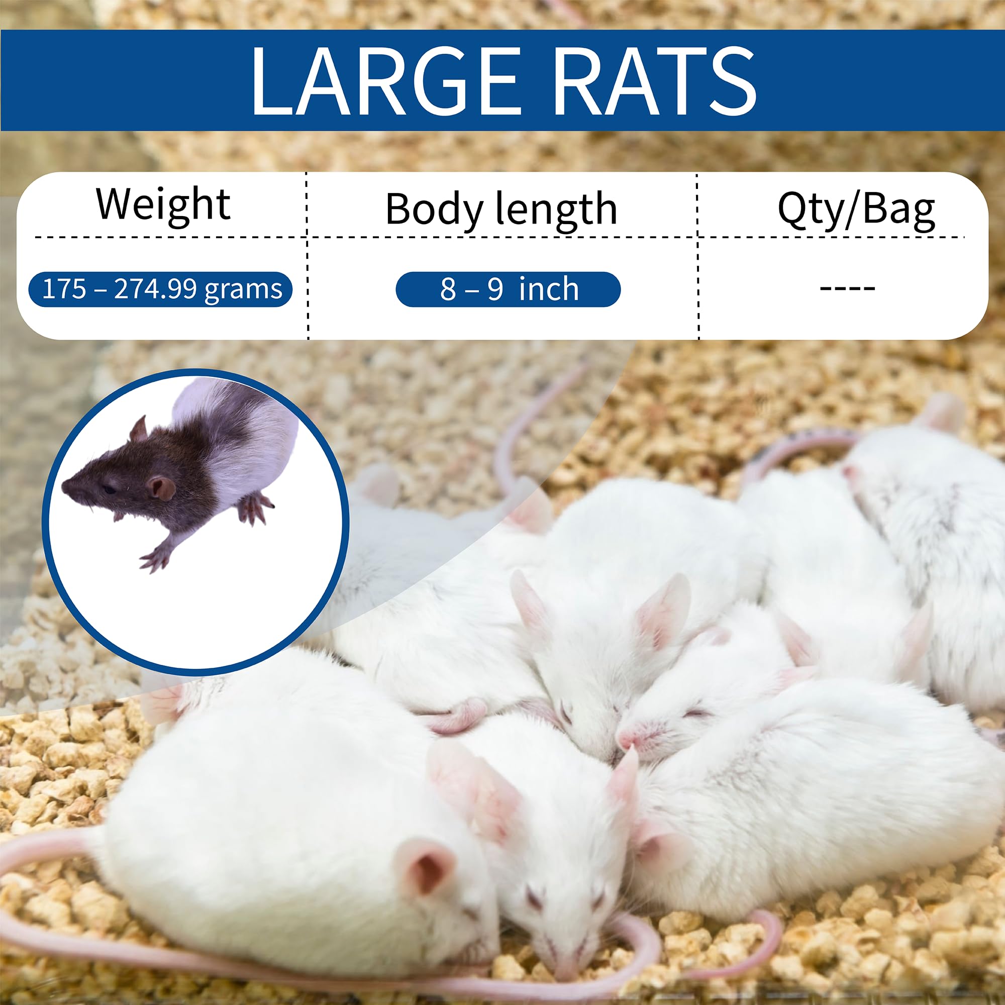 Frozen Large Feeder Mice for Snakes - 40oz (5 Count) | Premium Reptile Food for Burmese Pythons, Monitors & Birds of Prey | Ideal for Feeding Large Reptiles & Raptors