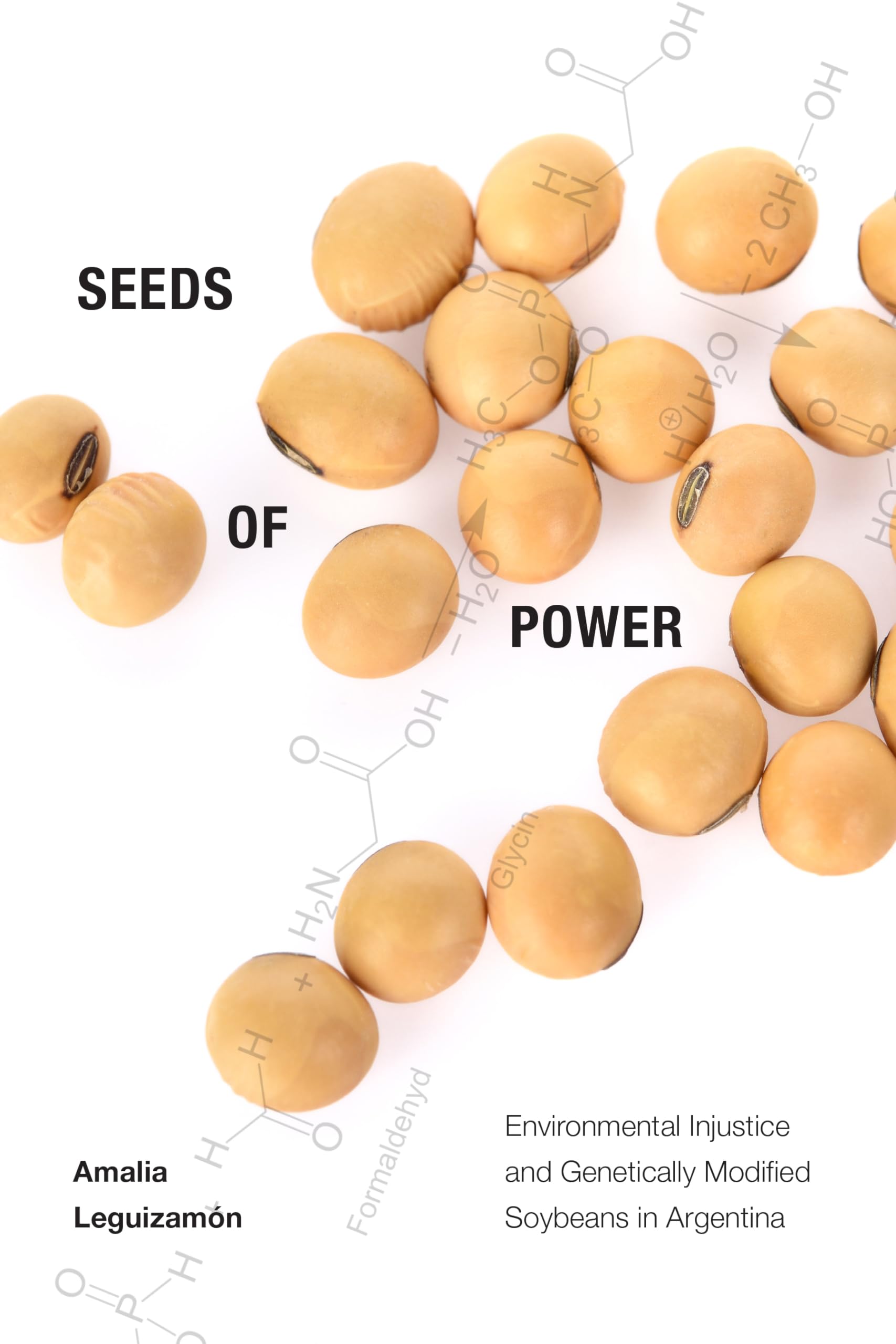 Seeds of Power: Environmental Injustice & GMO Soybeans in Argentina - Impact on Agriculture & Sustainability