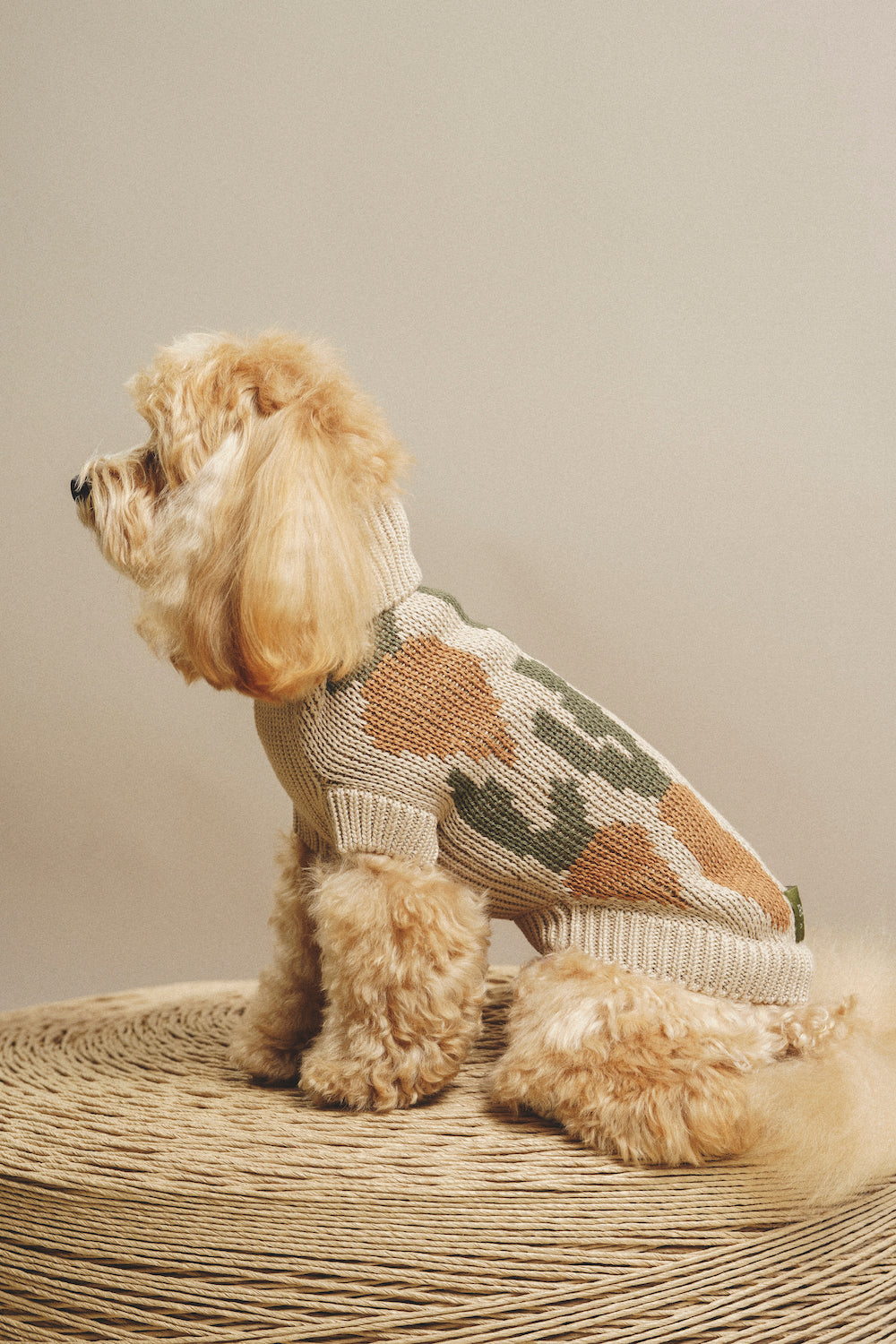 Dog Cardigan Sweater - Soft Pony Cotton Knit for Small Dogs - Cozy Winter Wear for Indoor & Outdoor Use