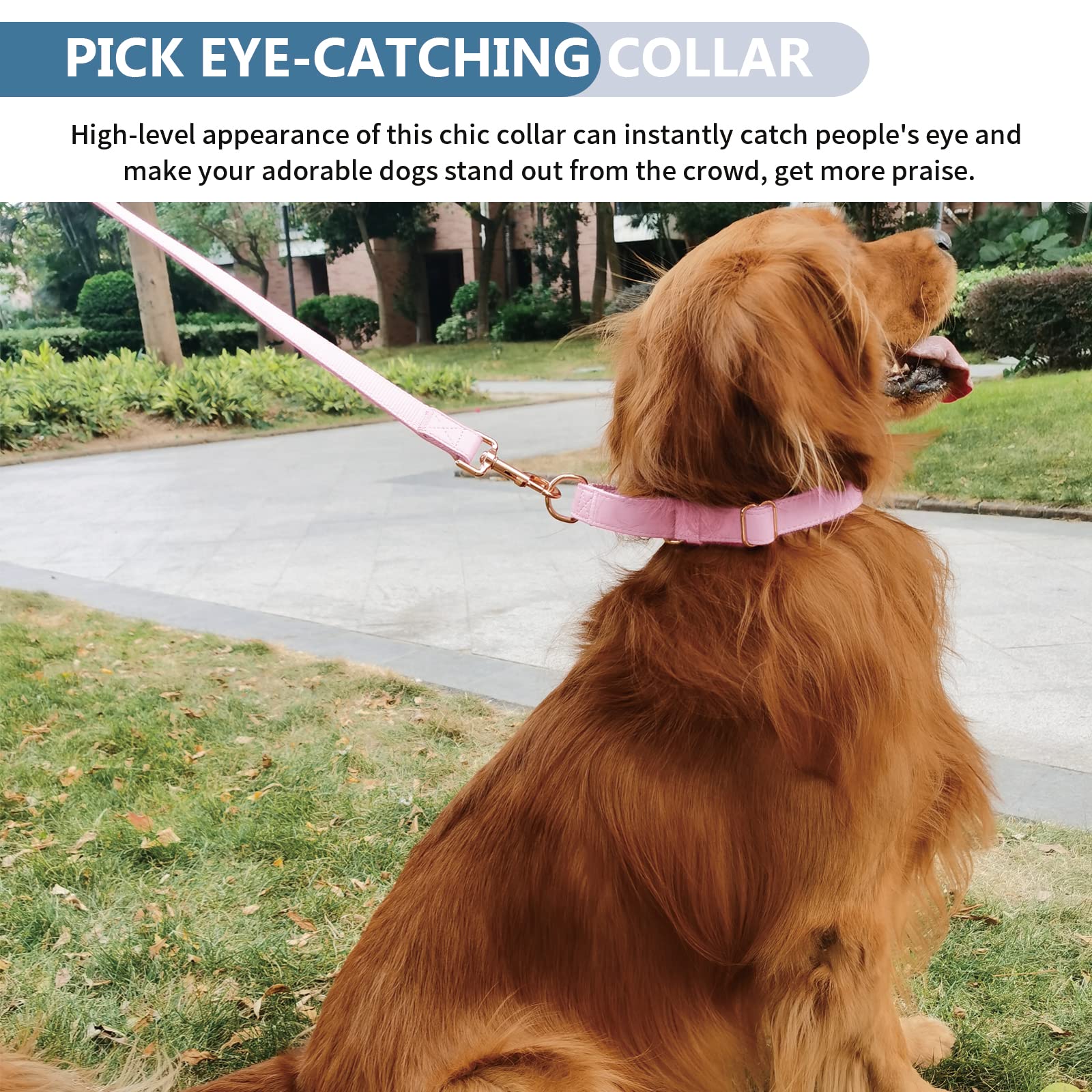 Premium Soft Leather Martingale Dog Collar - Adjustable Rose Gold Slip Collar for Small Medium Large Dogs | Durable No-Pull Training Collar with Stylish Design | Easy to Clean & Comfortable for Daily Walks, Training & Outdoor Adventures
