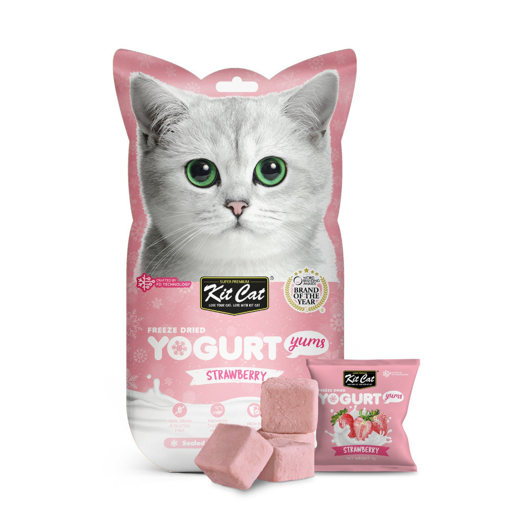 Freeze Dried Yogurt Cat Treats for Gut Health - Probiotic Rich Snacks for Cats - 10 Cubes per Pack - Healthy Digestive Support - Perfect for Training Rewards & Bonding Time