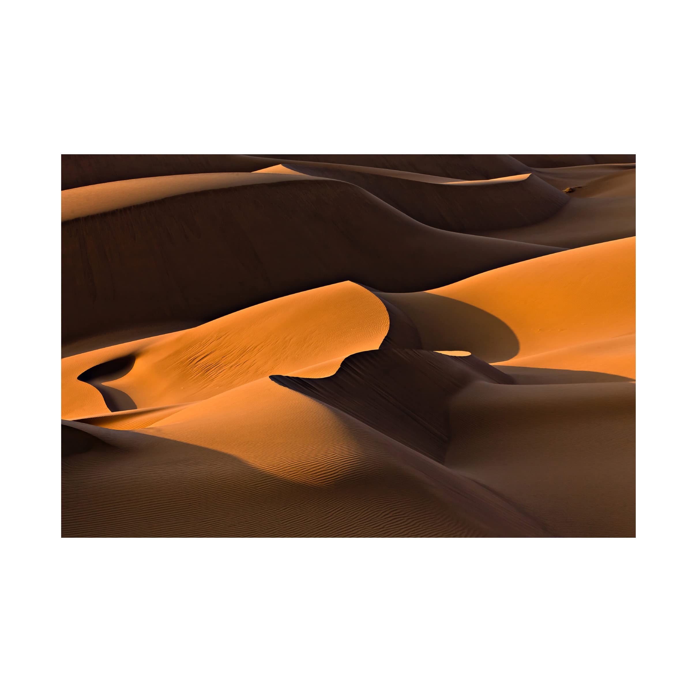 Trademark Fine Art 'Morning Light' Canvas Wall Art by Mohammadreza Momeni - Modern Landscape Painting for Living Room, Bedroom & Office Decor