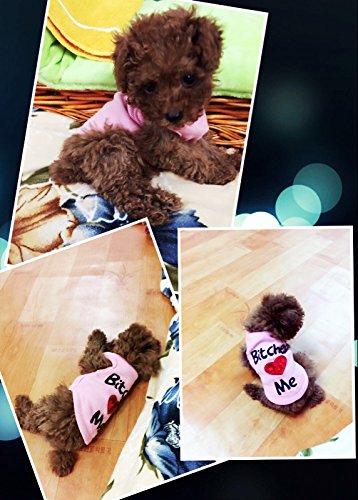 Pink Dog Shirt for Small Dogs - Cozy Puppy Sweater for Daily Walks