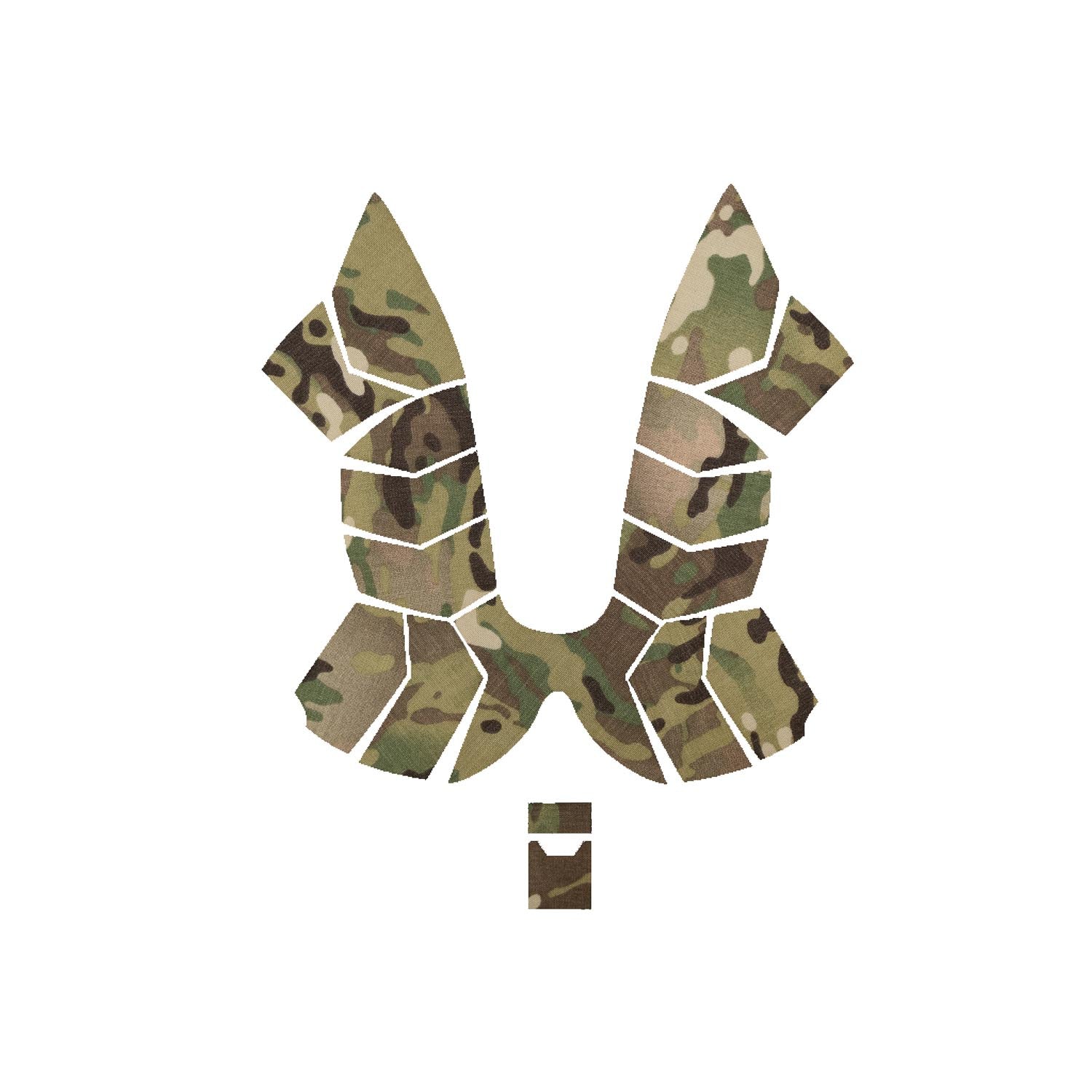 Multicam