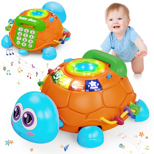 Tortoise-bluey