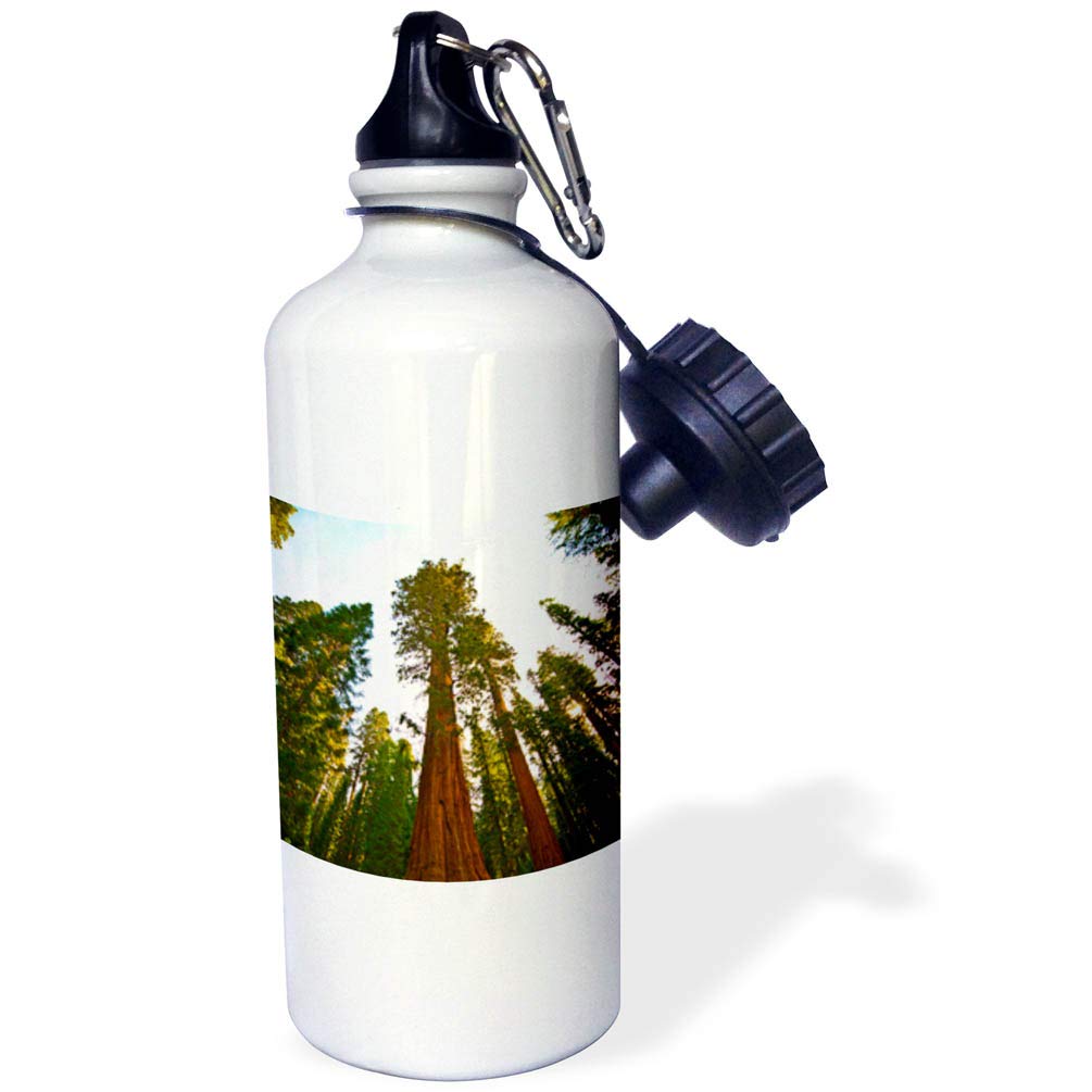 3D Rose California Insulated Water Bottle - 24oz Stainless Steel Double Wall Vacuum Flask with Leakproof Lid - Perfect for Hiking, Gym & Outdoor Activities