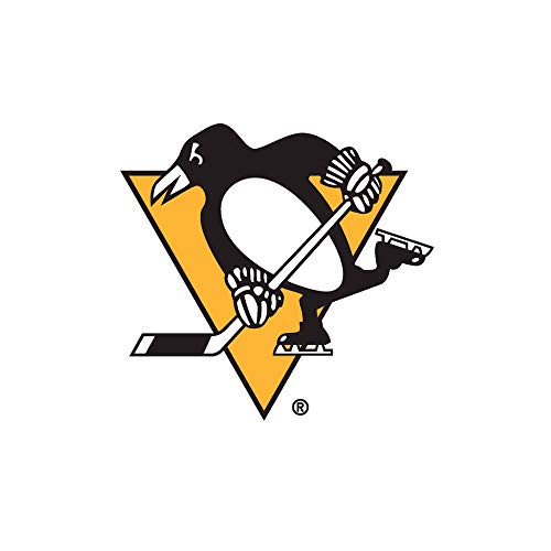 Pittsburgh penguins
