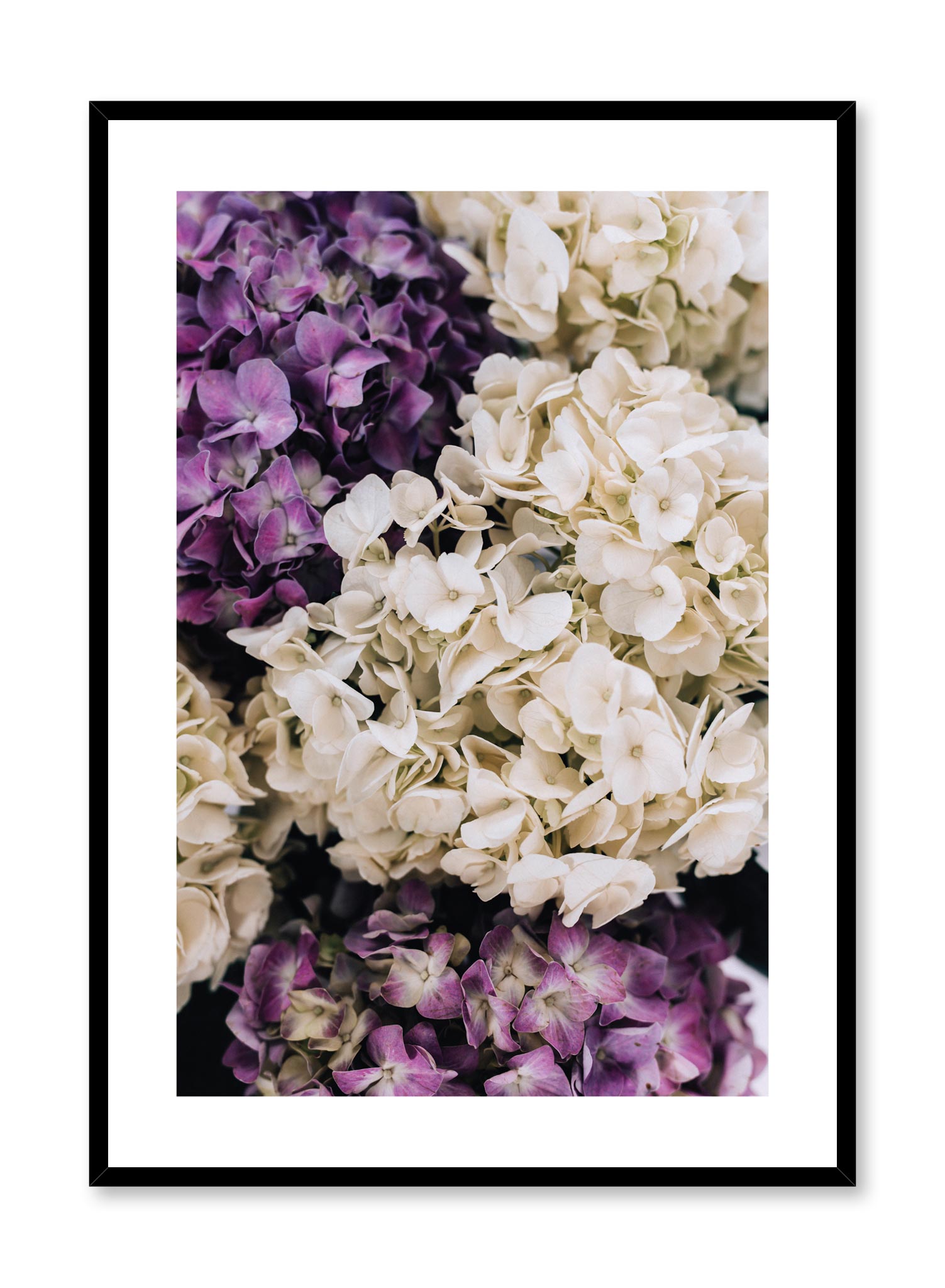 Beautiful Purple Hydrangeas Wall Art Print - Elegant Floral Poster for Home Decor, Office, Living Room & Bedroom Aesthetic