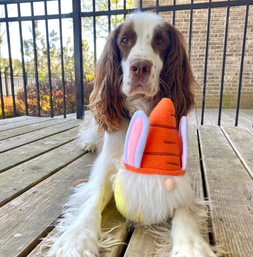 Midlee Easter Bunny Gnome Dog Toy - Cute Holiday Chew Toy for Small & Medium Dogs - Perfect for Easter Playtime & Gifting