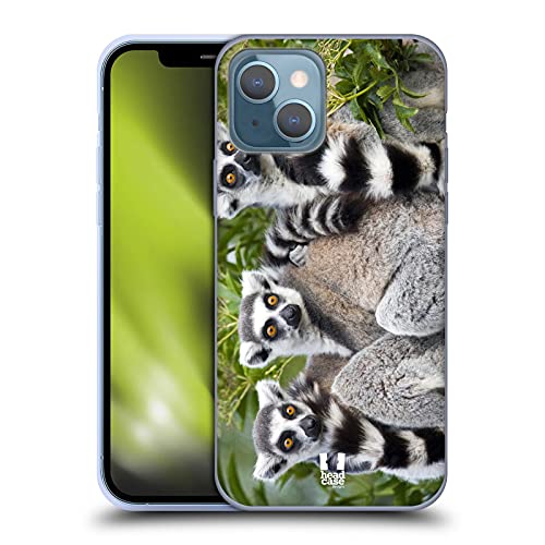 Ring Tailed Lemur