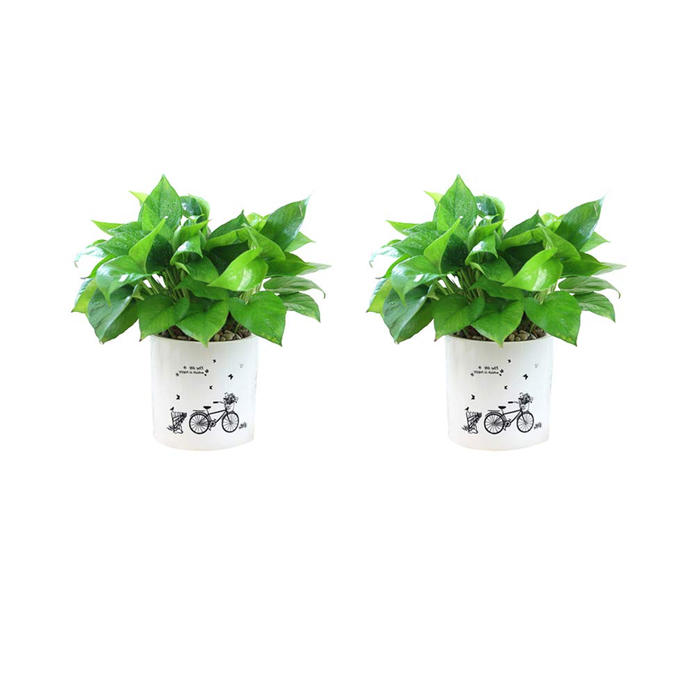 Cabilock 2PCS Self-Watering Plastic Flower Pots - Large Planter for Indoor/Outdoor Plants