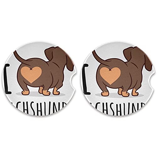 Cute Dachshund Dog