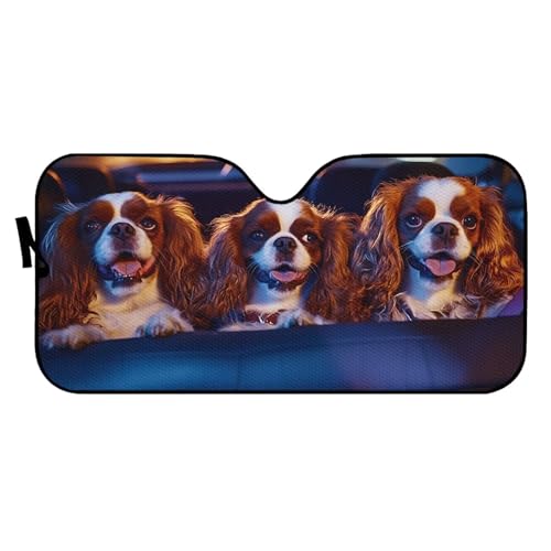 Dog Three Funny
