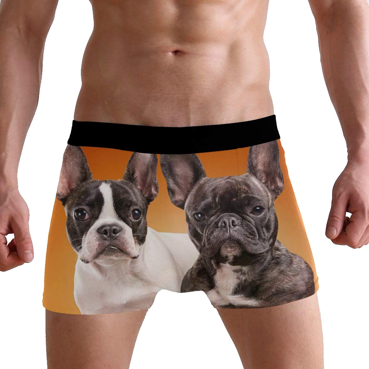 Funny French Bulldog Boxer Briefs for Men - Soft Cotton Underwear with Comfortable Waistband - Perfect for Casual Wear, Gym, and Everyday Use