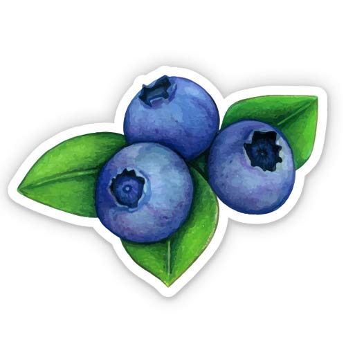 Blueberries Cute 3-Inch Vinyl Sticker - Waterproof Decal for Car, Laptop, Water Bottle, Phone - Perfect for DIY Crafts, Scrapbooking & Personalizing Accessories