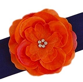 Navy Band with Orange Flower