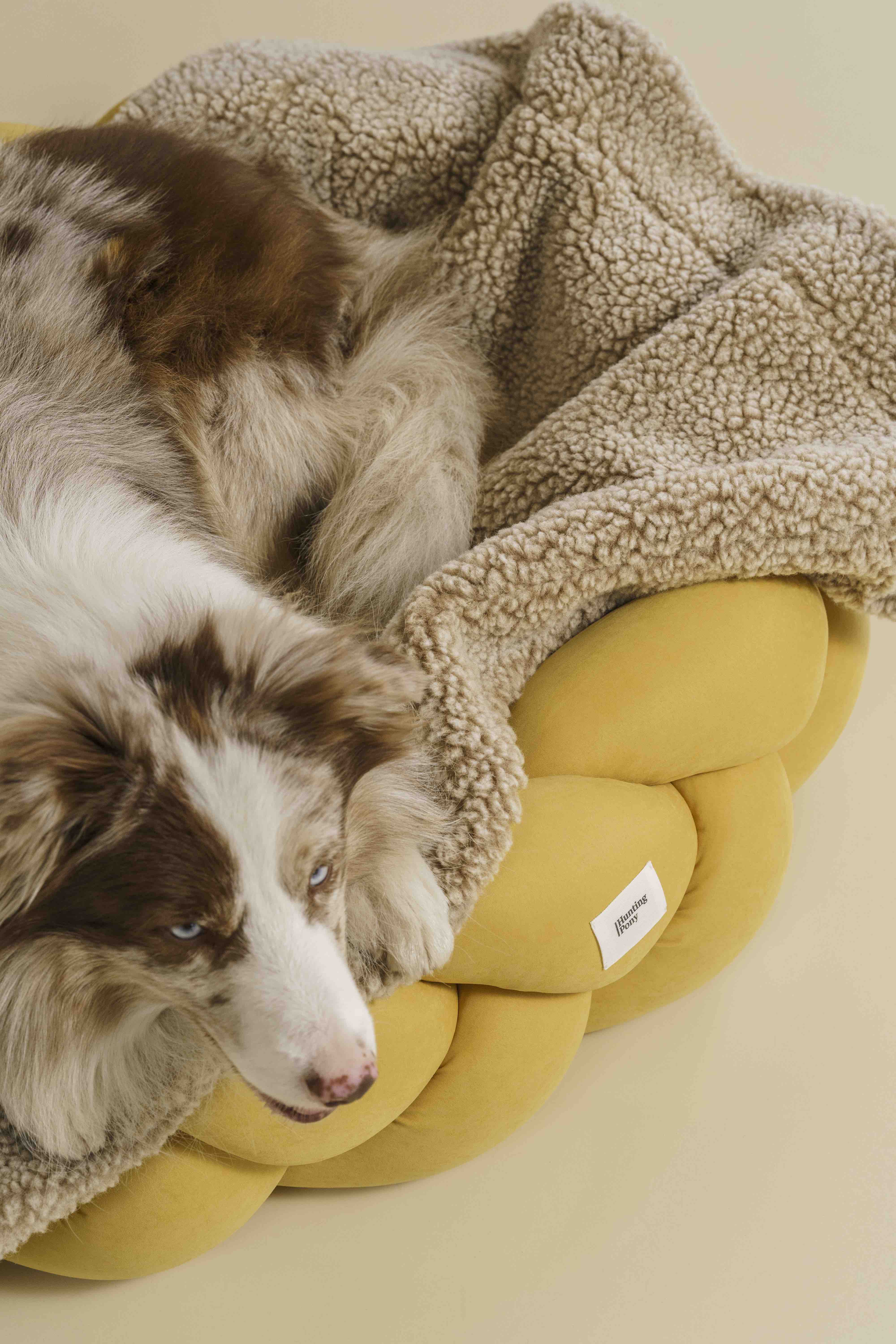 Cozy Dog Blanket for Small & Medium Dogs - Soft & Warm Beige Pet Blanket for Beds, Couches & Travel - Sleepy Pony Design for Comfortable Napping
