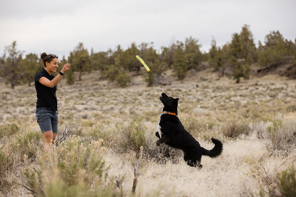 Ruffwear® Gnawt a Stick® Blue Pool Floating Dog Toy – Durable Chew & Fetch Toy for Water Play & Outdoor Adventures