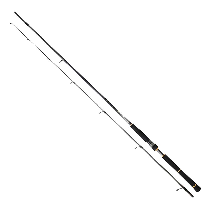 Daiwa BG Sea Bass Spinning Rod - Saltwater Fishing Rod for Bass, Surf & Inshore Fishing - Perfect for Beach, Pier & Boat Fishing Adventures