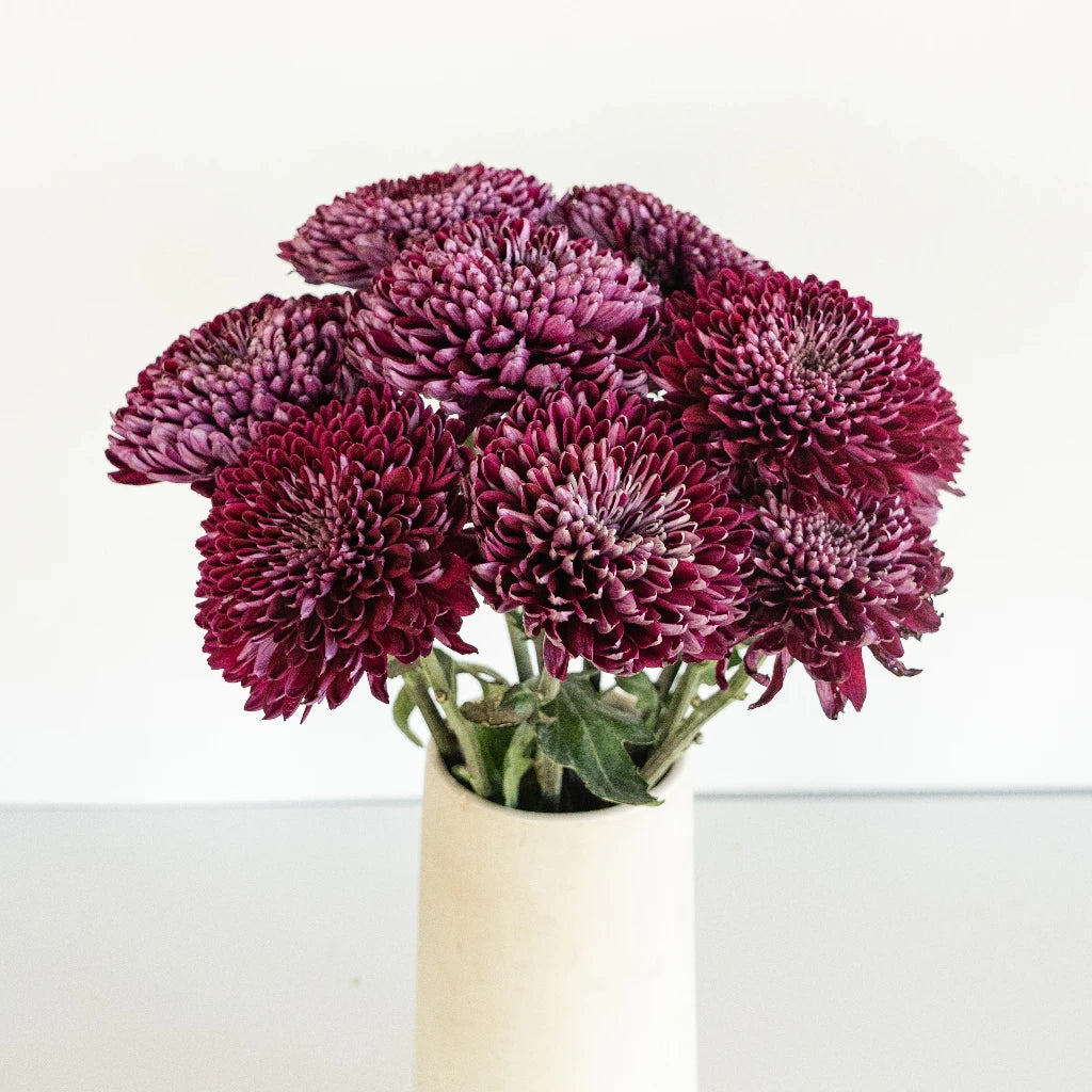 Berry Twist Bahlia Flower - Vibrant Artificial Flowers for Home Decor, Wedding Centerpieces & DIY Crafts
