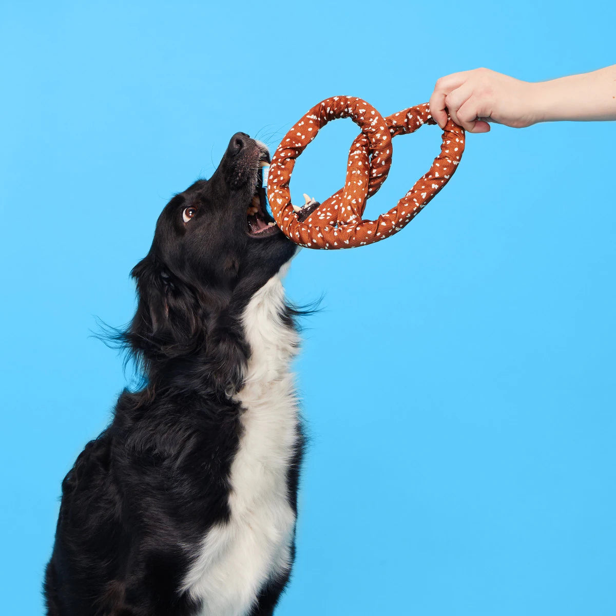 Organic Bark Paula's Park Slope Pretzel for Dogs - All-Natural, Grain-Free Dog Treats - Perfect for Training, Rewards & Snacking