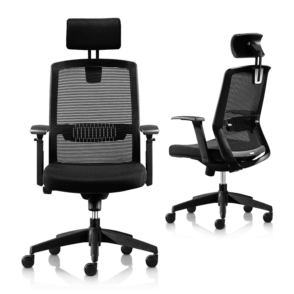 Ergonomic Office Chair - High Back Adjustable Mesh Computer Chair with Headrest & Lifted Armrests - Rolling Task Chair for Home Office, Gaming & Workspace Comfort
