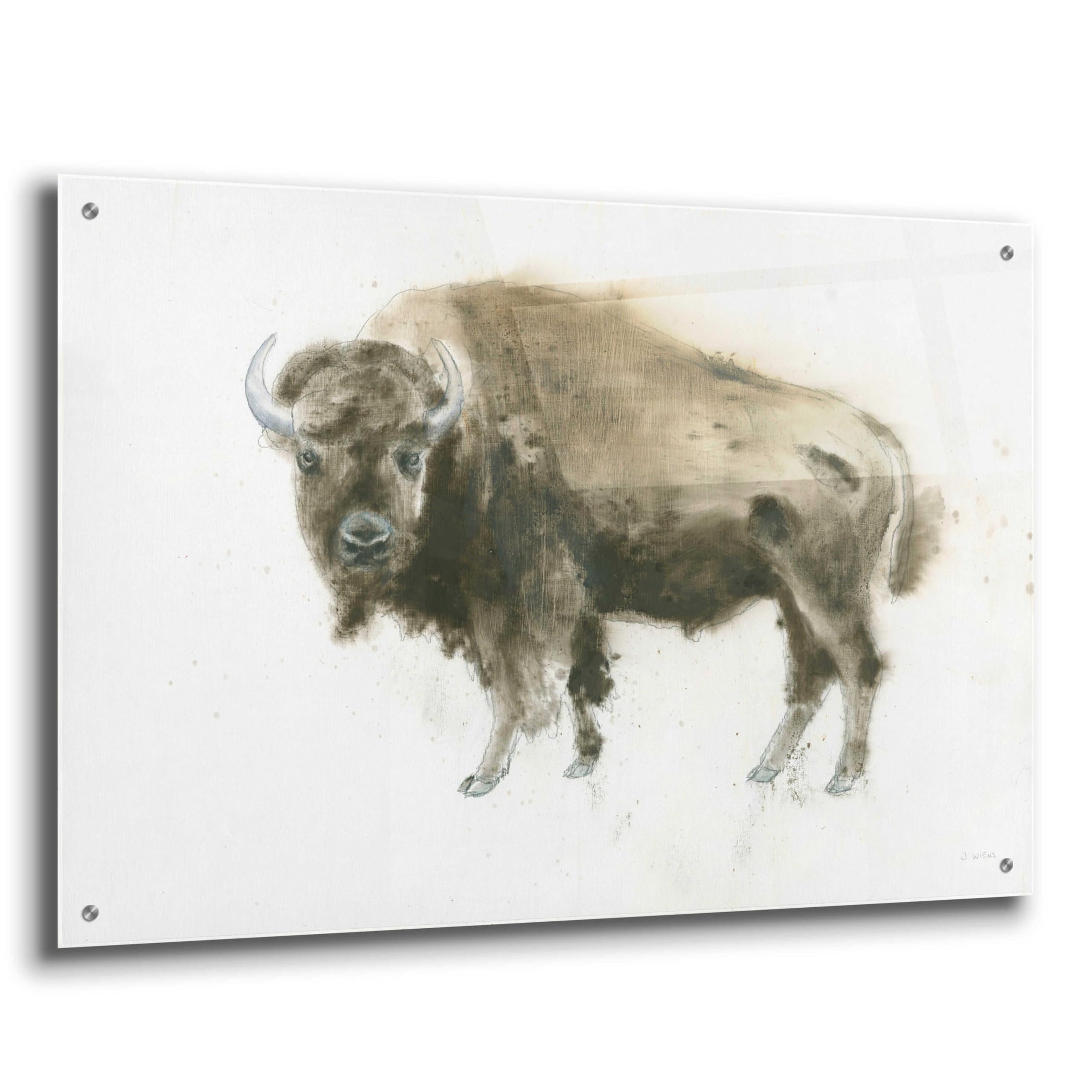 Buffalo Bill Acrylic Glass Wall Art by James Wiens - 36x24 Inches Western Cowboy Painting for Home & Office Decor - Perfect for Living Room, Bedroom or Western Theme Interior Design
