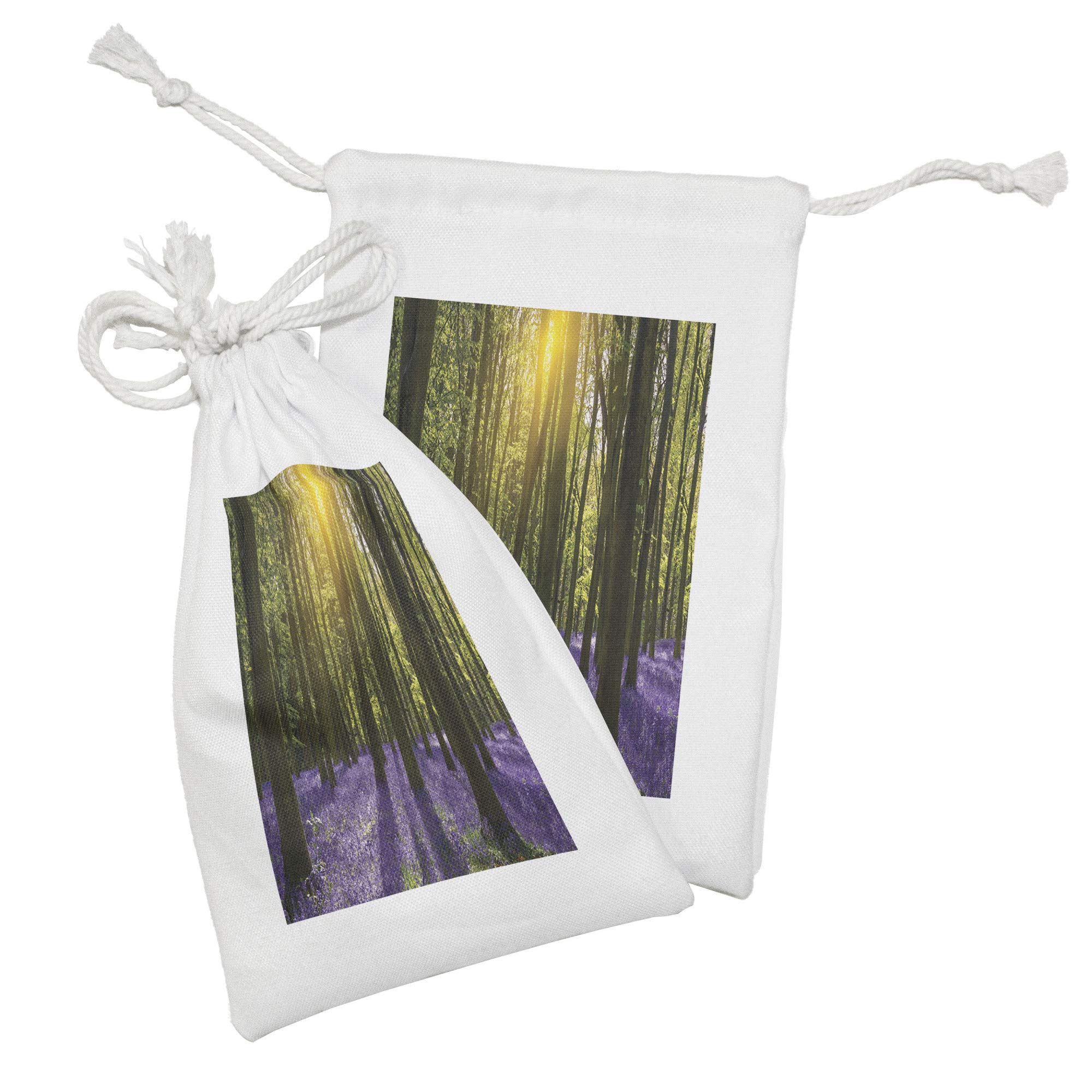 Ambesonne Woodland Fabric Pouch Set of 2 - Bluebells & Sunbeams Forest Design, Small Drawstring Bag for Toiletries, Masks, Jewelry & Party Favors (9