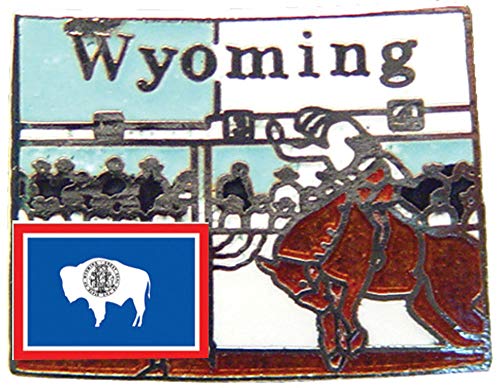 Lapel Pin