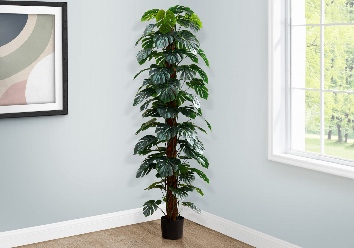 83 Monstera Deliciosa Swiss Cheese Plant with 8-Inch Black Nursery Pot - Indoor Tropical Houseplant for Home, Office Decor and Gift Giving