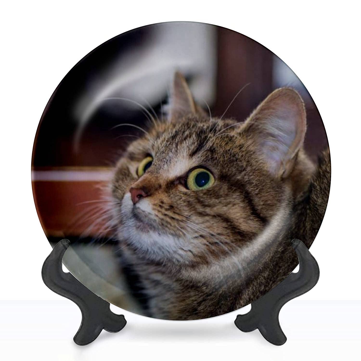 10 Inch Ceramic Hanging Decorative Plate - Cute Kitten Sitting at Open Window Wall Art for Home, Office, Dining Room, Wedding & Party Decor | Perfect Gift for Cat Lovers & Collectors | Elegant Ceramic Ornament for Wall Display