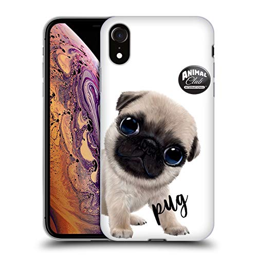 Pug