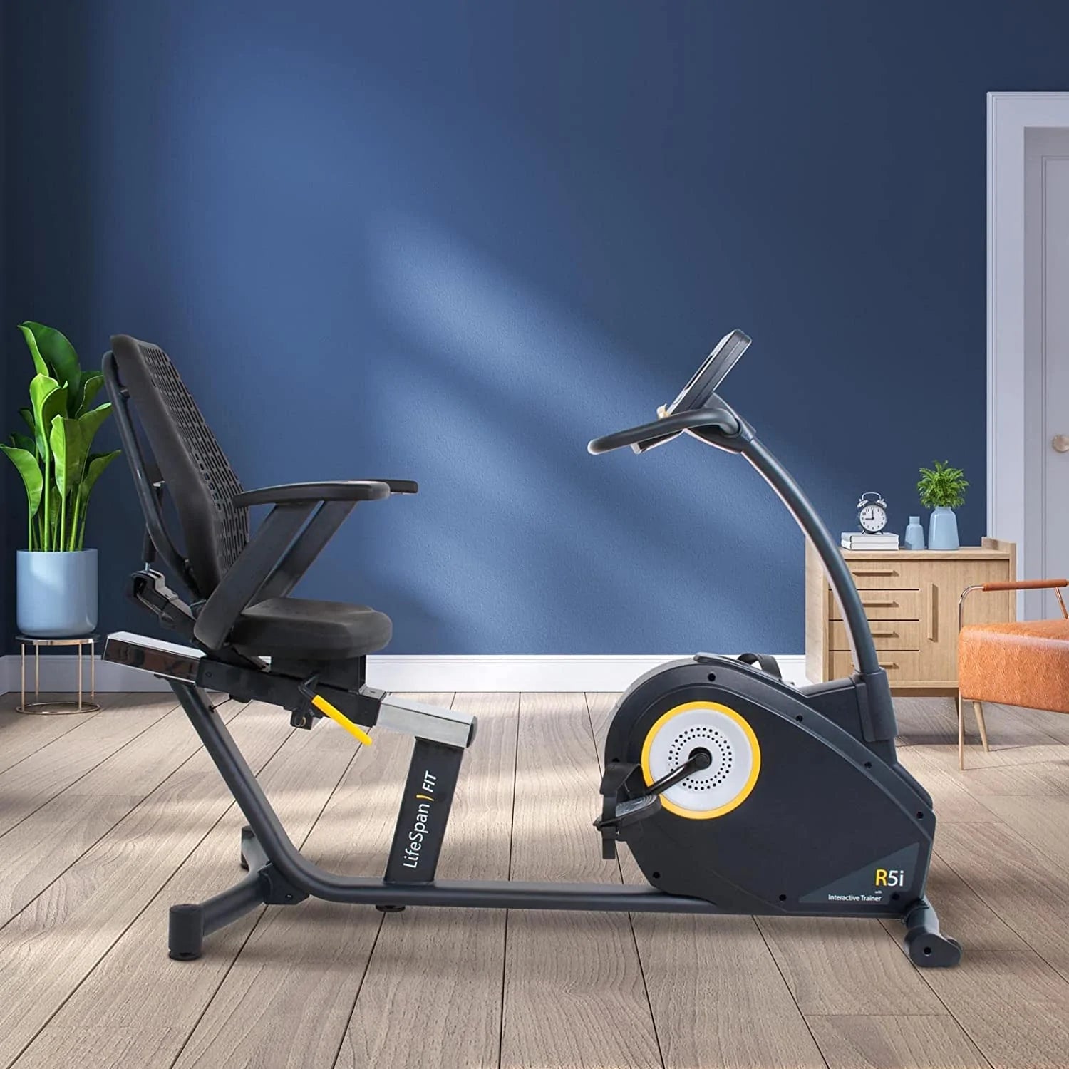 Lifespan R5i Recumbent Exercise Bike for Home Gym - 30 Year Anniversary Sale - Perfect for Low-Impact Cardio Workouts & Physical Therapy