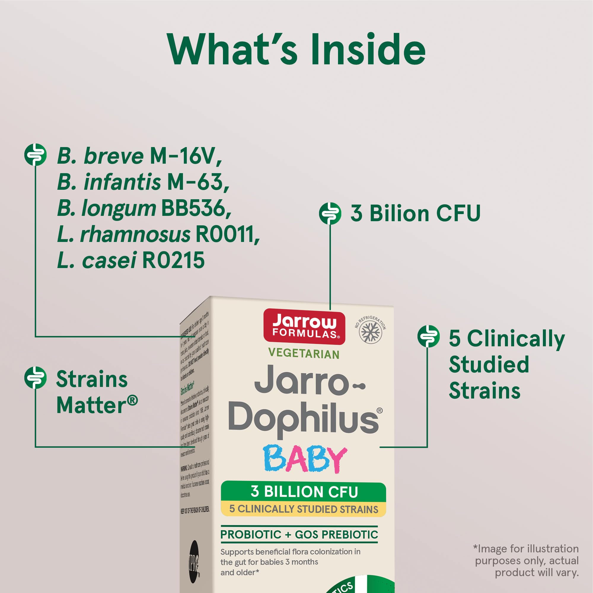 Jarrow Formulas Jarro-Dophilus Baby Probiotic + GOS Prebiotic Powder - 2.1 oz (60 Day Supply) - Gut Health & Immune Support for Infants - Pack of 12 - Ideal for Colic Relief, Digestion & Diaper Rash Prevention