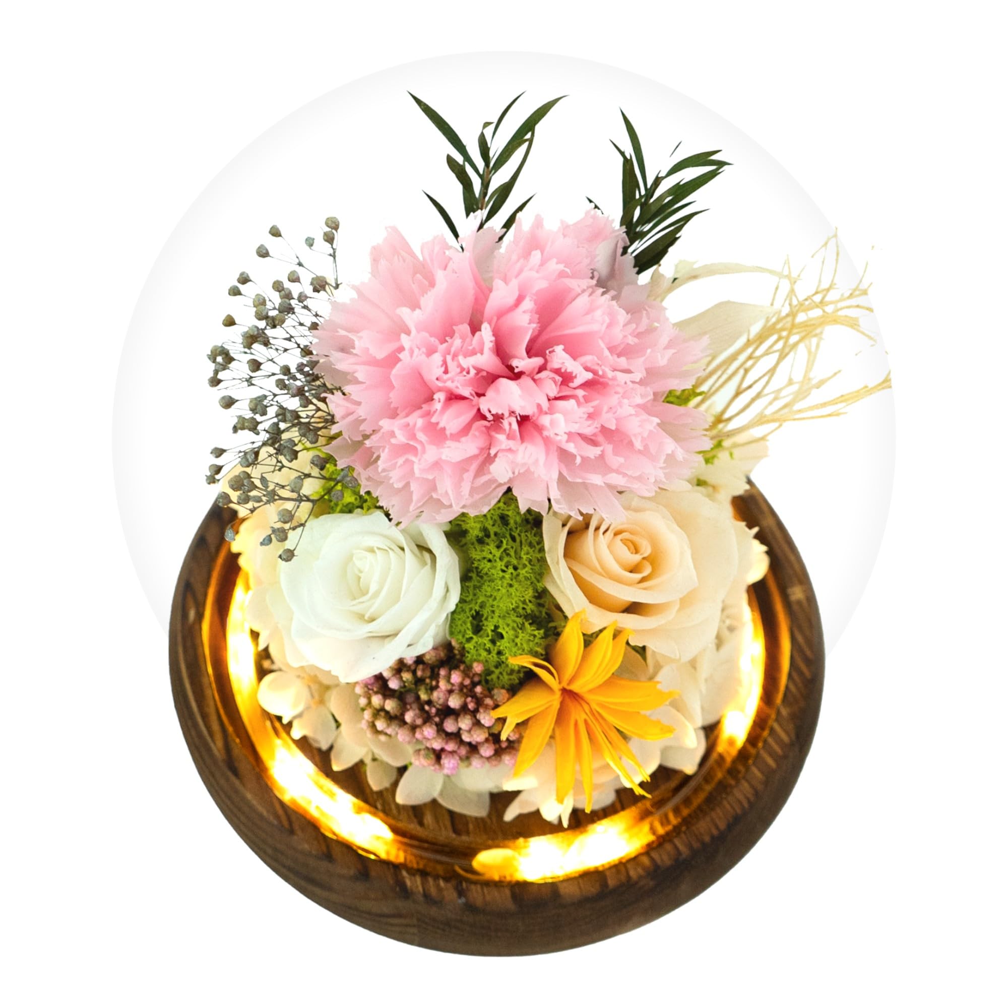 Long Lasting Preserved Rose in Glass Dome with LED Light - Elegant Flower Gift for Women, Anniversary, Valentine's Day - Home Decor & Wedding Centerpiece - Includes Premium Gift Box (White/Pink)