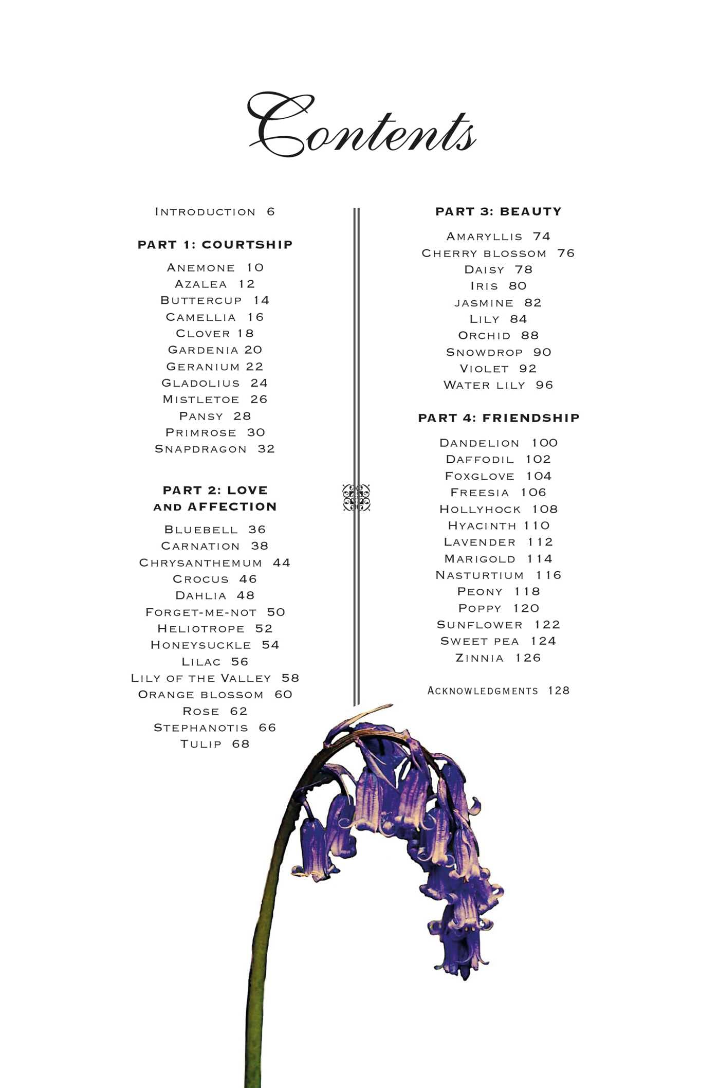 The Secret Language of Flowers: Meaning & Symbolism Guide | Perfect for Weddings, Gifts & Home Decor