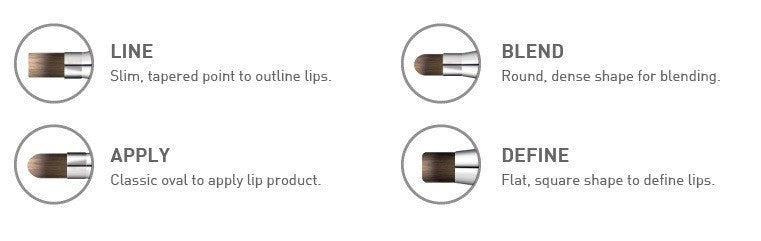 Cailyn 4-in-1 Multifunctional Lip Brush Set - Perfect for Lipstick, Lip Gloss, Lip Liner & Concealer Application - Ideal for Makeup Artists & Beauty Enthusiasts