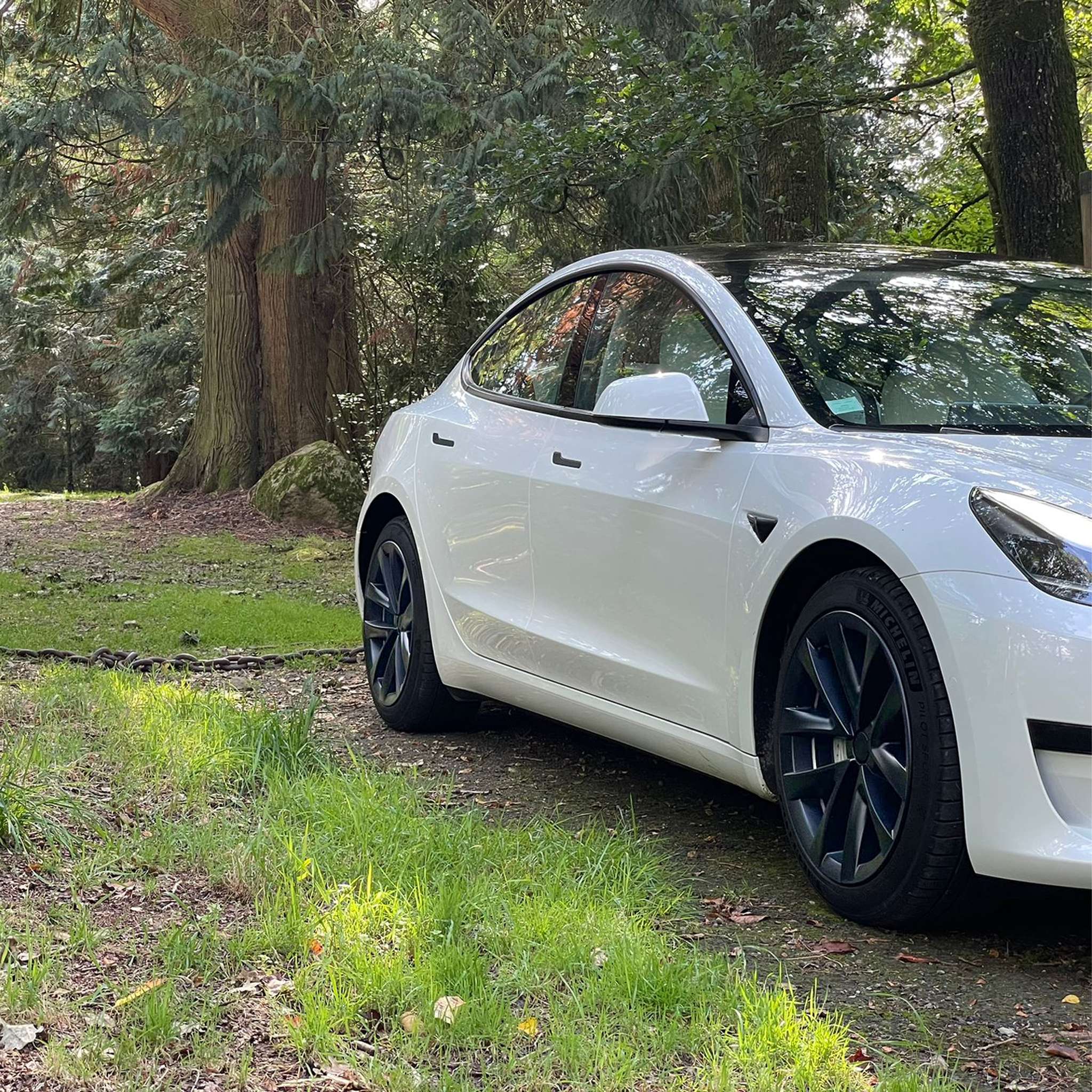 Arachnid Style Wheel Covers for Tesla Model 3 18