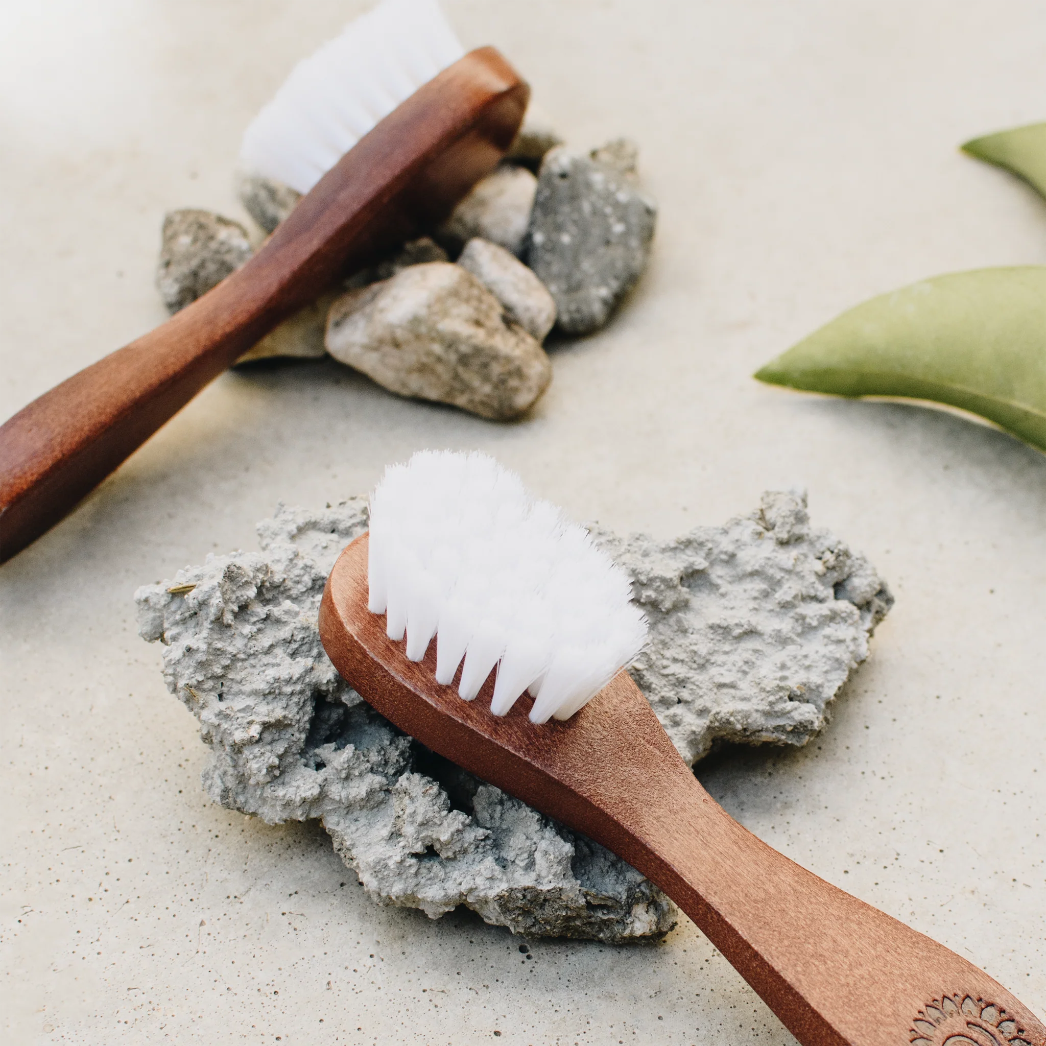 Lotus Wood Exfoliating Brush for Face & Body - Natural Exfoliator for Dry Skin & Dead Skin Removal - Spa Quality Bath Brush for Soft Skin Care & Relaxation
