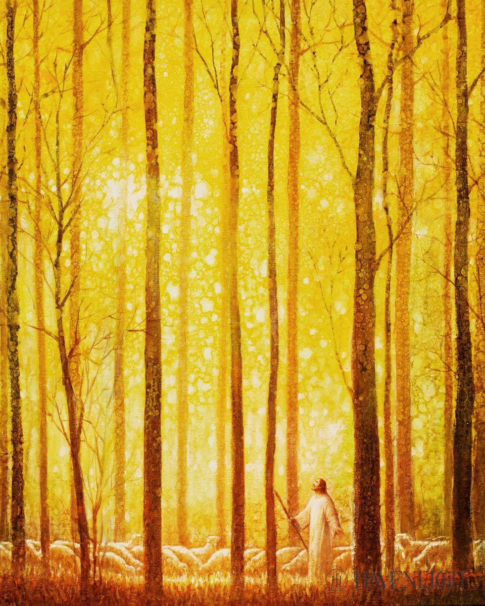 Wonder by Yongsung Kim - Inspirational Christian Art Print for Home & Office Decor - Perfect for Living Rooms, Bedrooms, and Church Spaces