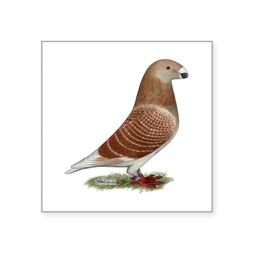 White - Show Racer Red Check Pigeon Square Sticker 3 X 3