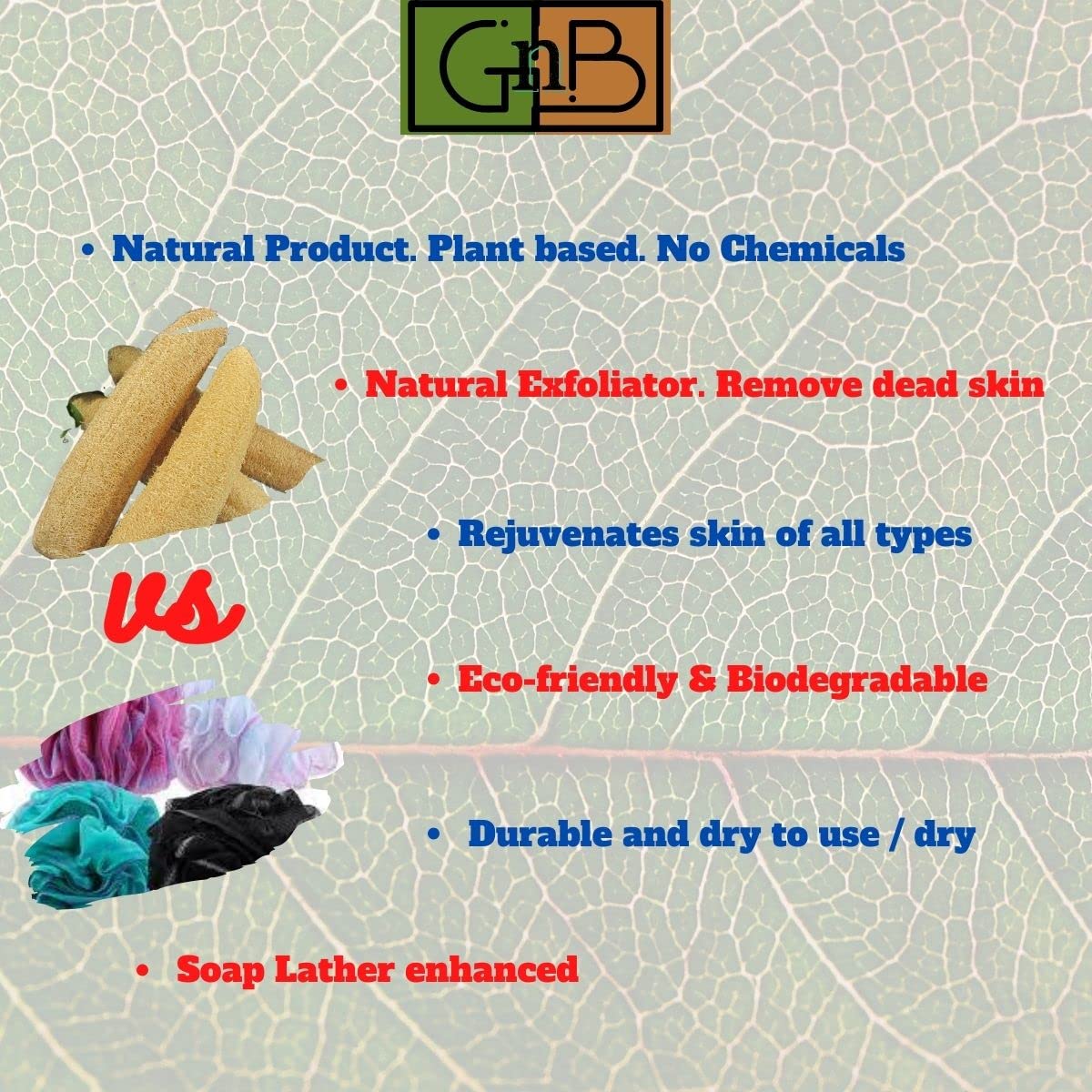 Organic Loofah Sponge for Bath & Shower - Natural Exfoliating Body Scrubber for Face, Back & Skin - Eco-Friendly Bath Sponge for Men & Women (Pack of 2) - Perfect for Spa, Gym & Travel Use
