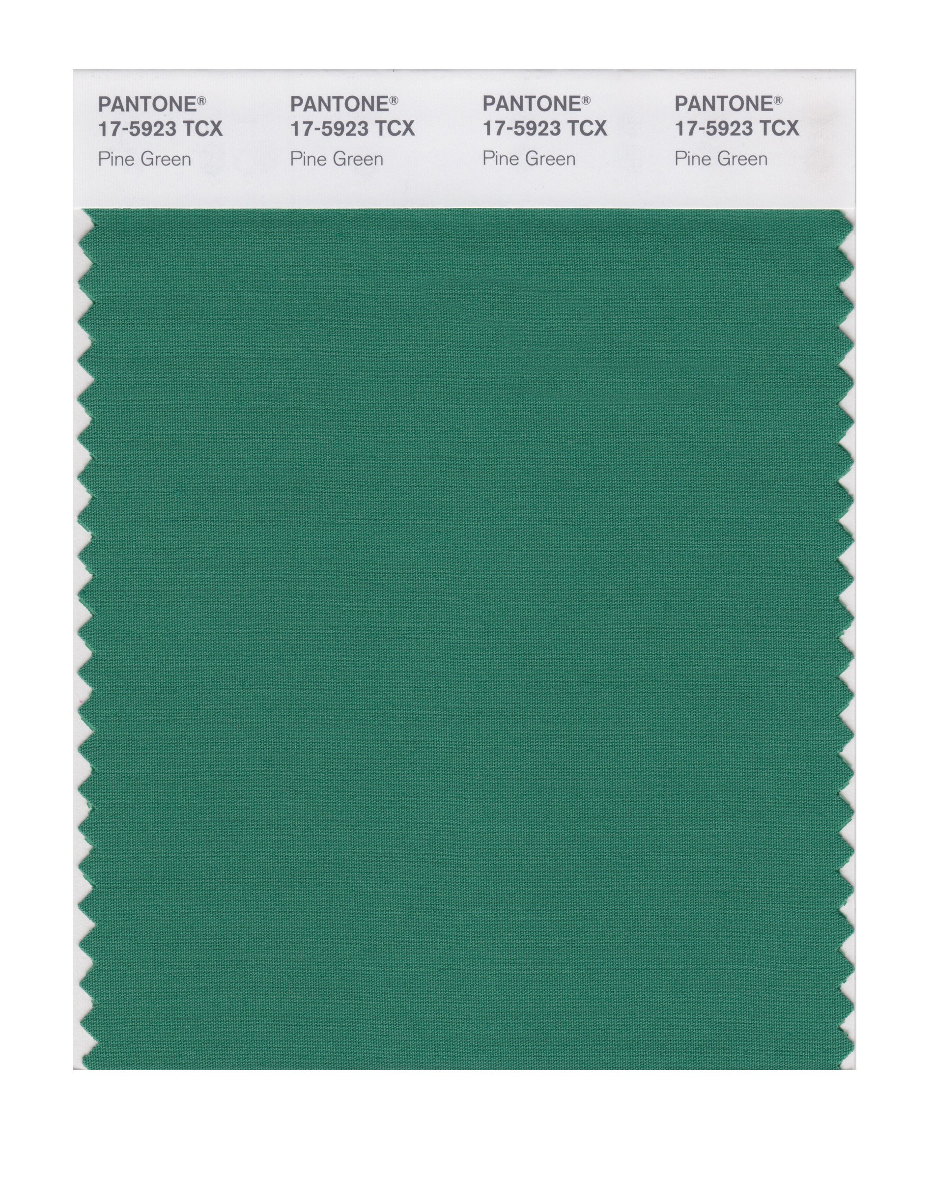 PANTONE Smart 17-5923X Pine Green Color Swatch Card | Professional Color Matching Tool for Graphic Design, Printing & Branding | Perfect for Pantone Color System Reference