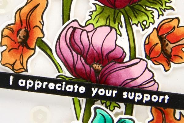 Alcohol Markers for Cardmaking - Online Crafting 101 Class | DIY Greeting Cards & Scrapbooking Supplies